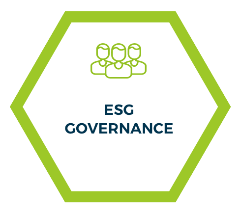 ESG Governance