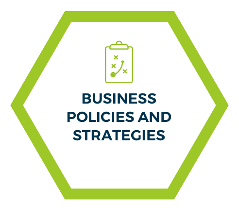 Business policies and strategies